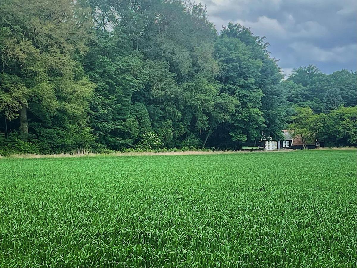 Natuurhuisje - Gastenverblijf De Kleine Hazerij Wijhe Экстерьер фото